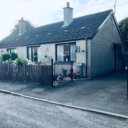 Ponderosea Cottage Free Gated Parking M1 & City Location, Wood Stove Lisburn Eksteriør bilde