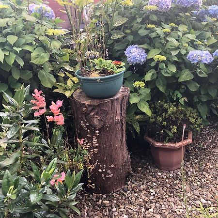 Ponderosea Cottage Free Gated Parking M1 & City Location, Wood Stove Lisburn Eksteriør bilde