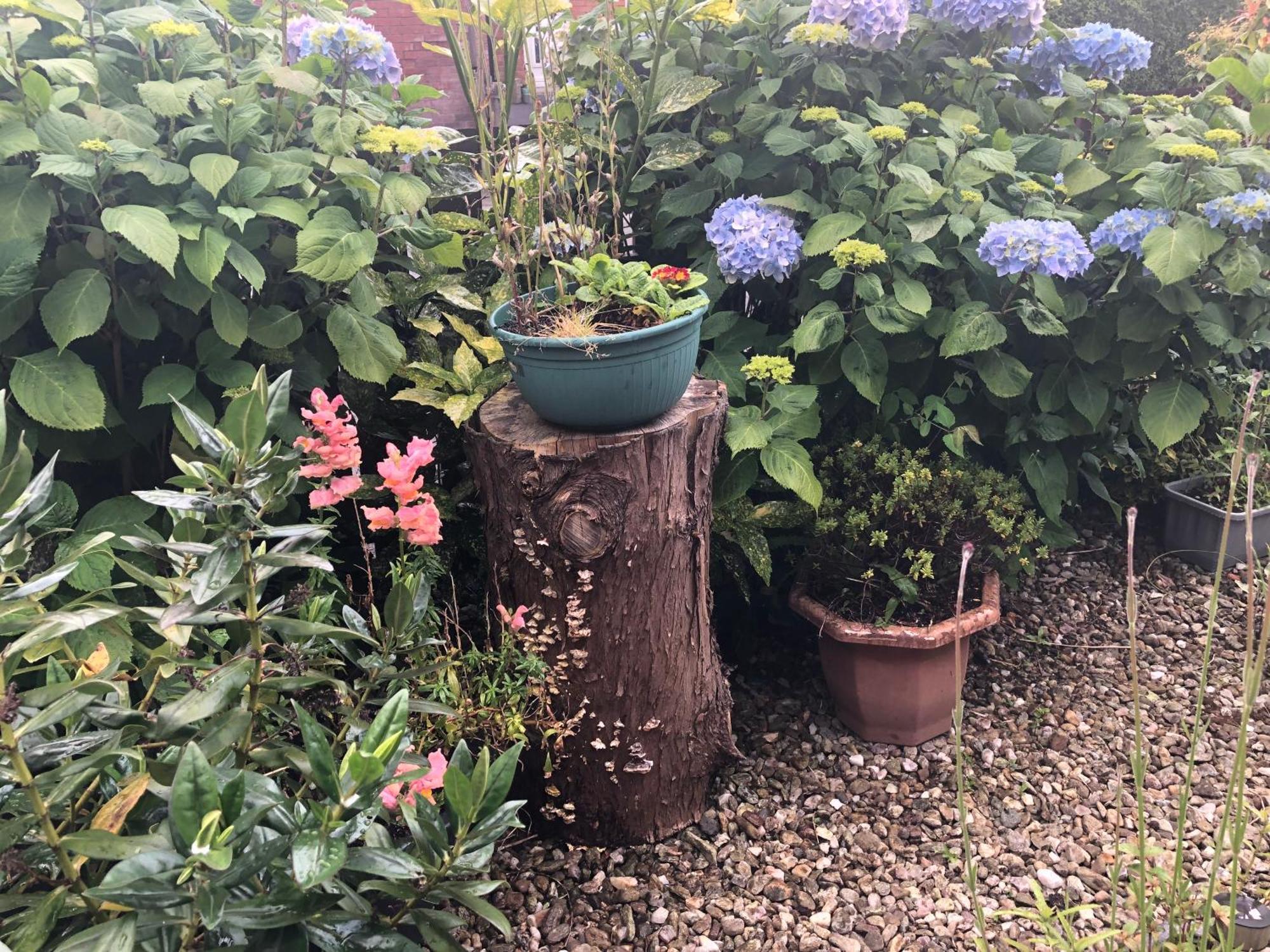 Ponderosea Cottage Free Gated Parking M1 & City Location, Wood Stove Lisburn Eksteriør bilde